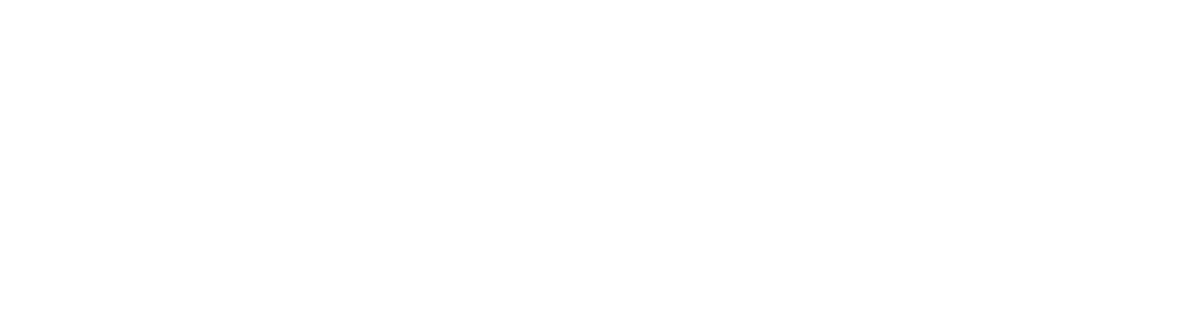 Vega-mono-white-checkout